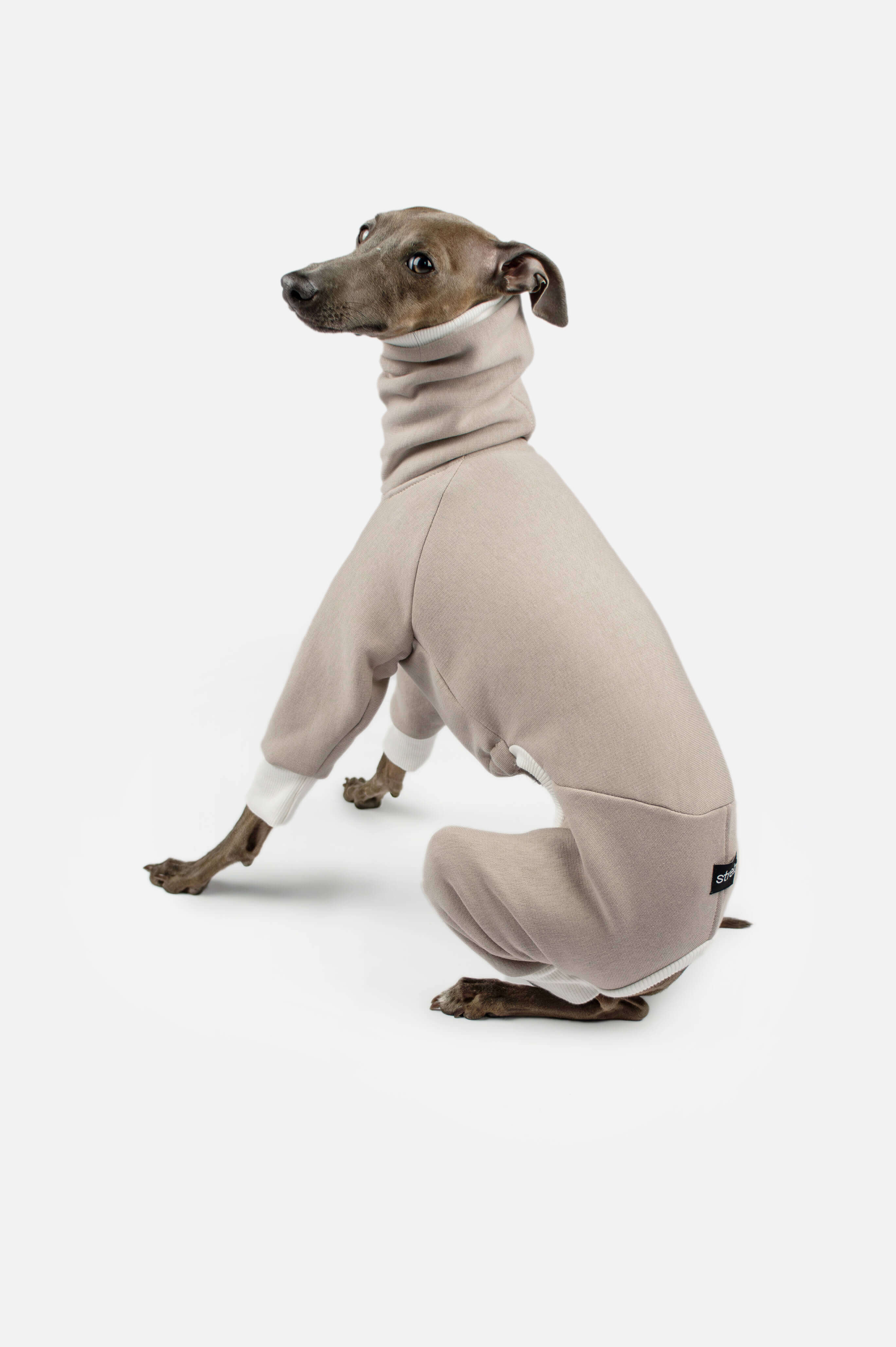 Italian Greyhound & Whippet Onesie – Beige Cotton Sweatshirt – Strela