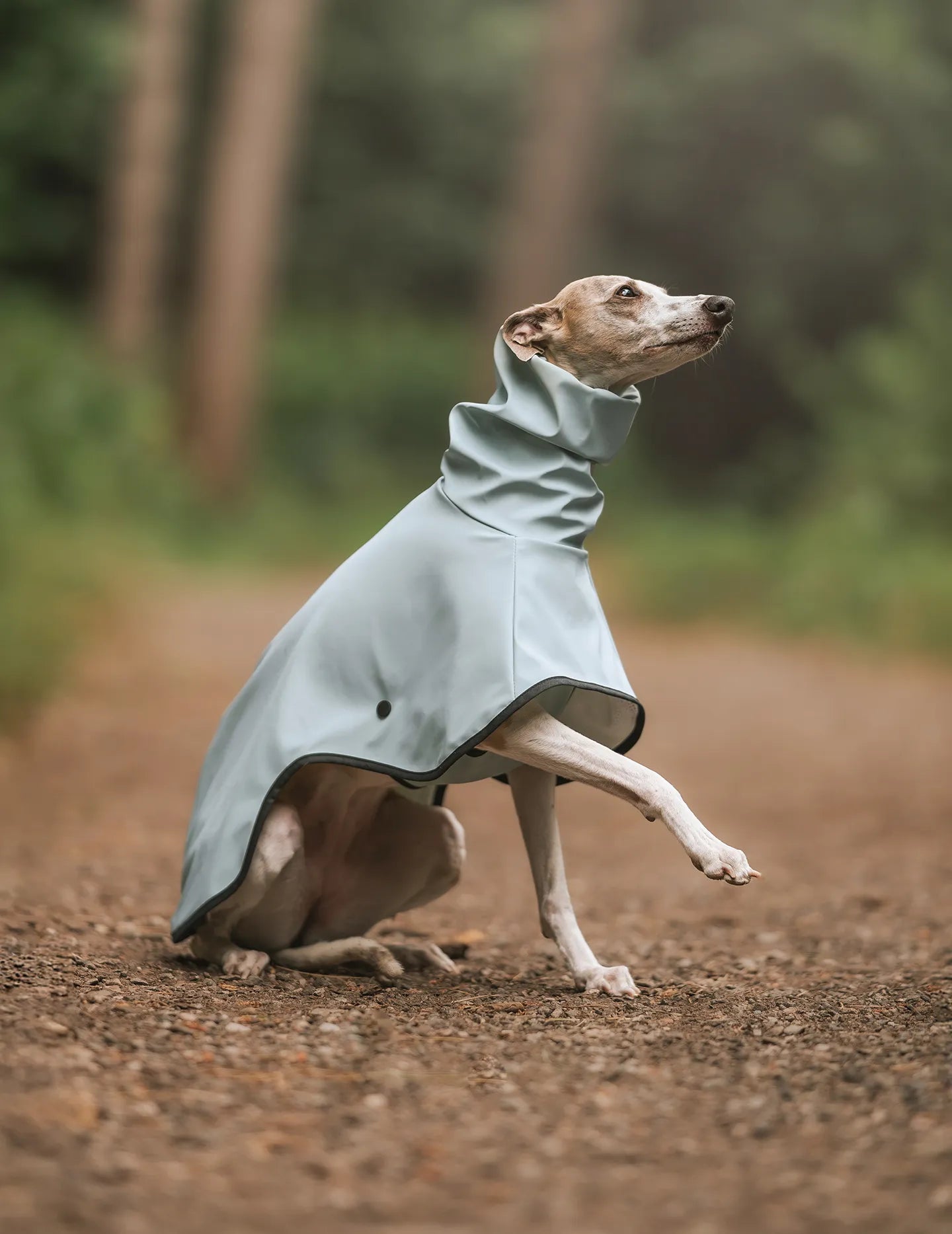 Raincoats
