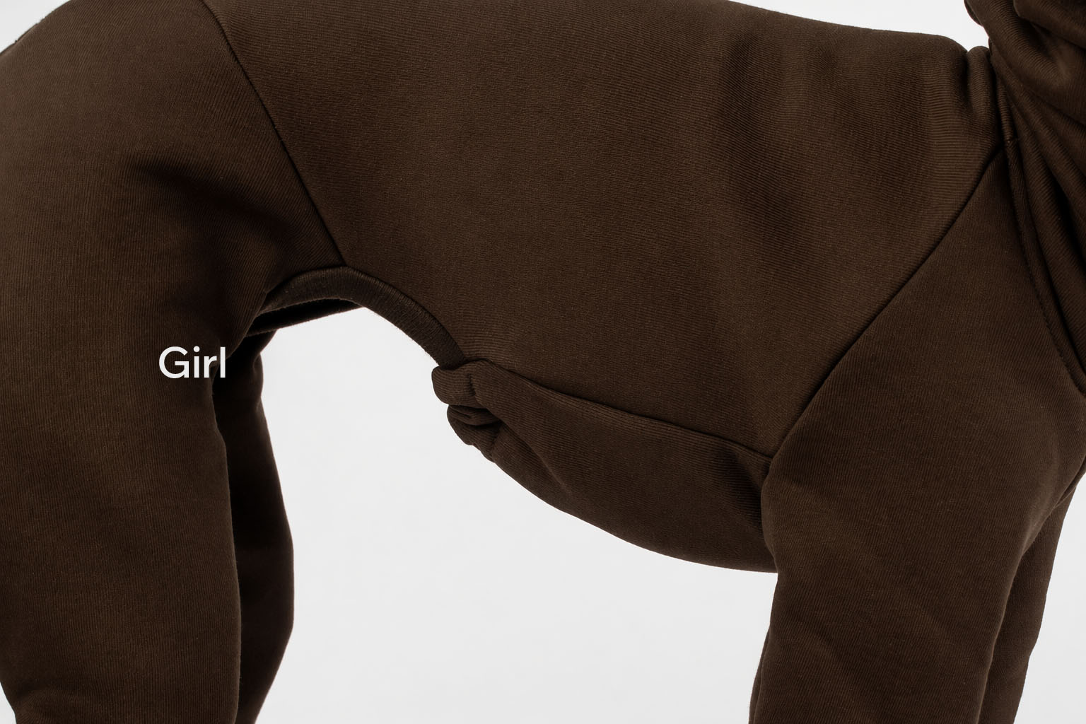 Brown italian greyhound outfit with a label indicating 'Girl' on a white background