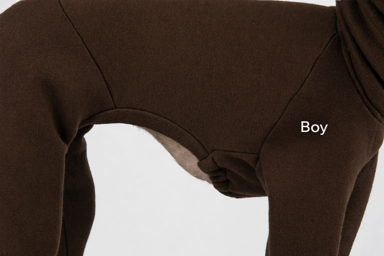 Brown italian greyhound outfit with a label indicating 'Boy' on a white background