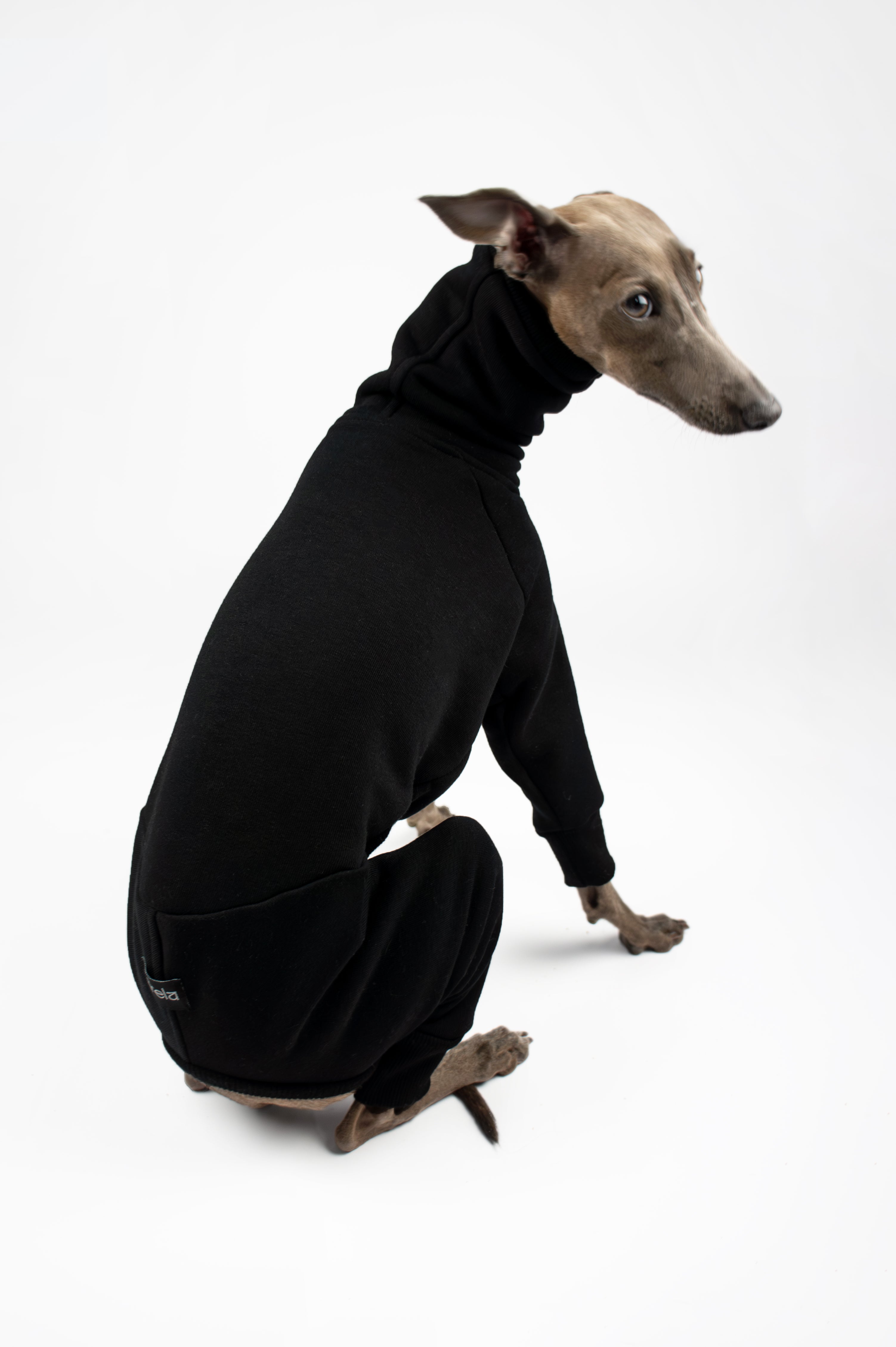 A back photo of an Italian Greyhound wearing a black sweatshirt full-body outfit  by Strela Studio on a white background