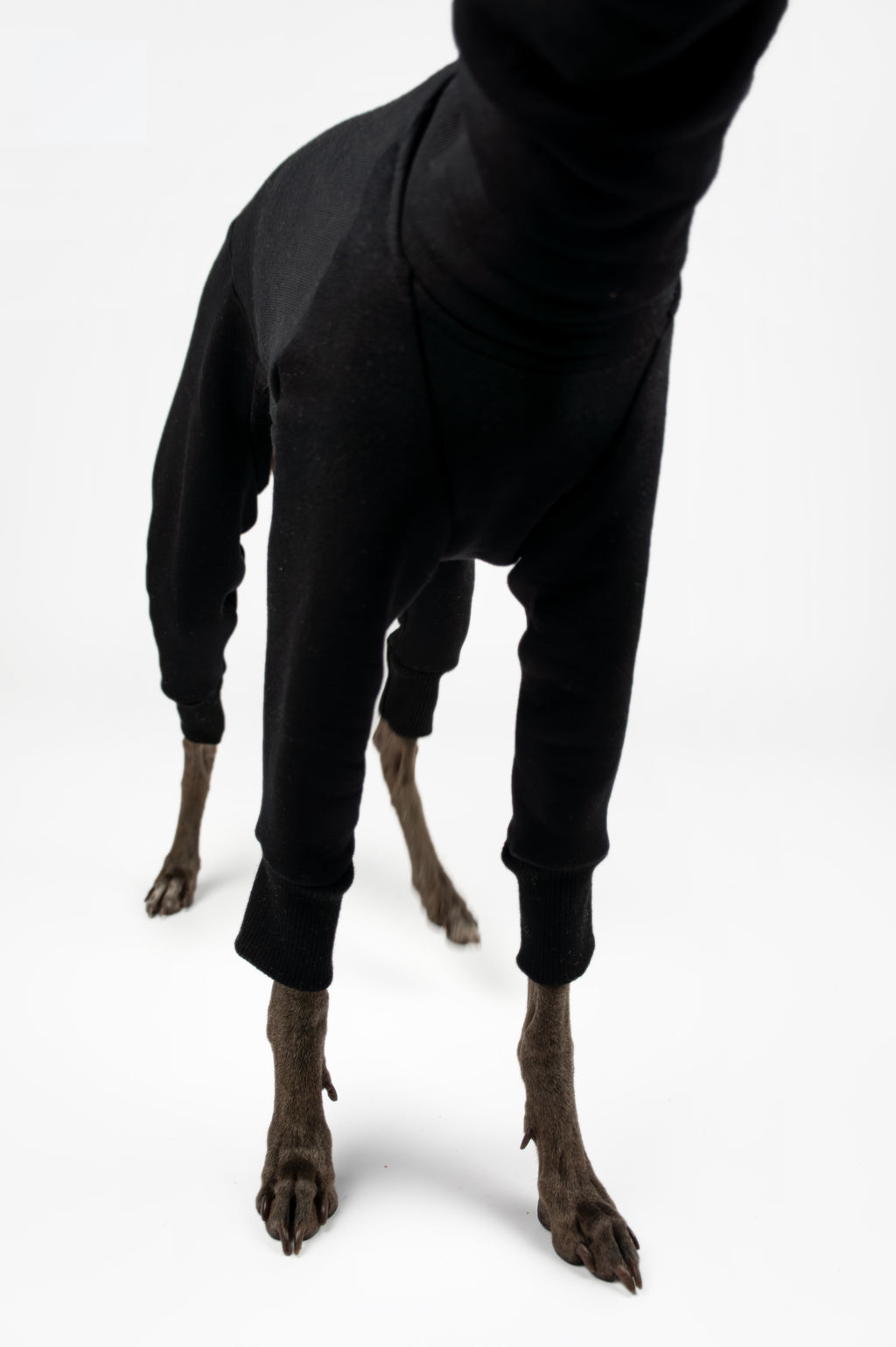 A detail shot of an Italian Greyhound and Whippet sweatshirt onesie by Strela Studio on a white background