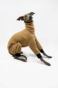 Italian Greyhound in a sitting pose wearing a camel sweatshirt onesie by Strela Studio on a white background