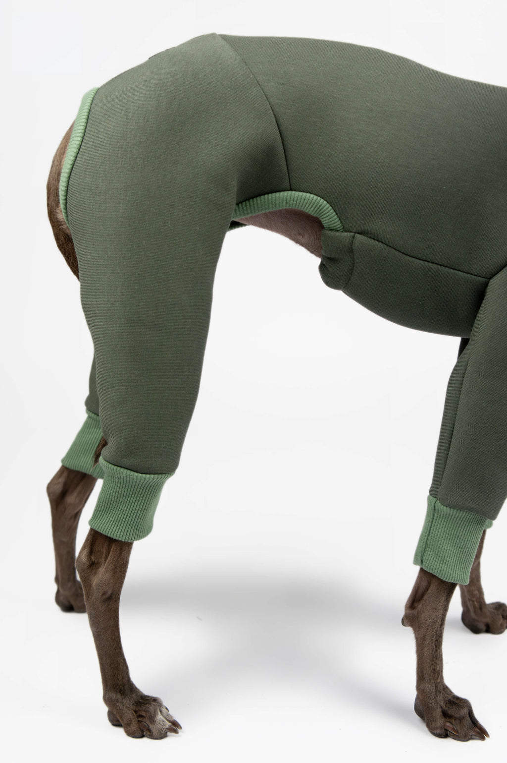 A close up photo of an Italian Greyhound and Whippet onesie by Strela Studio on a white background
