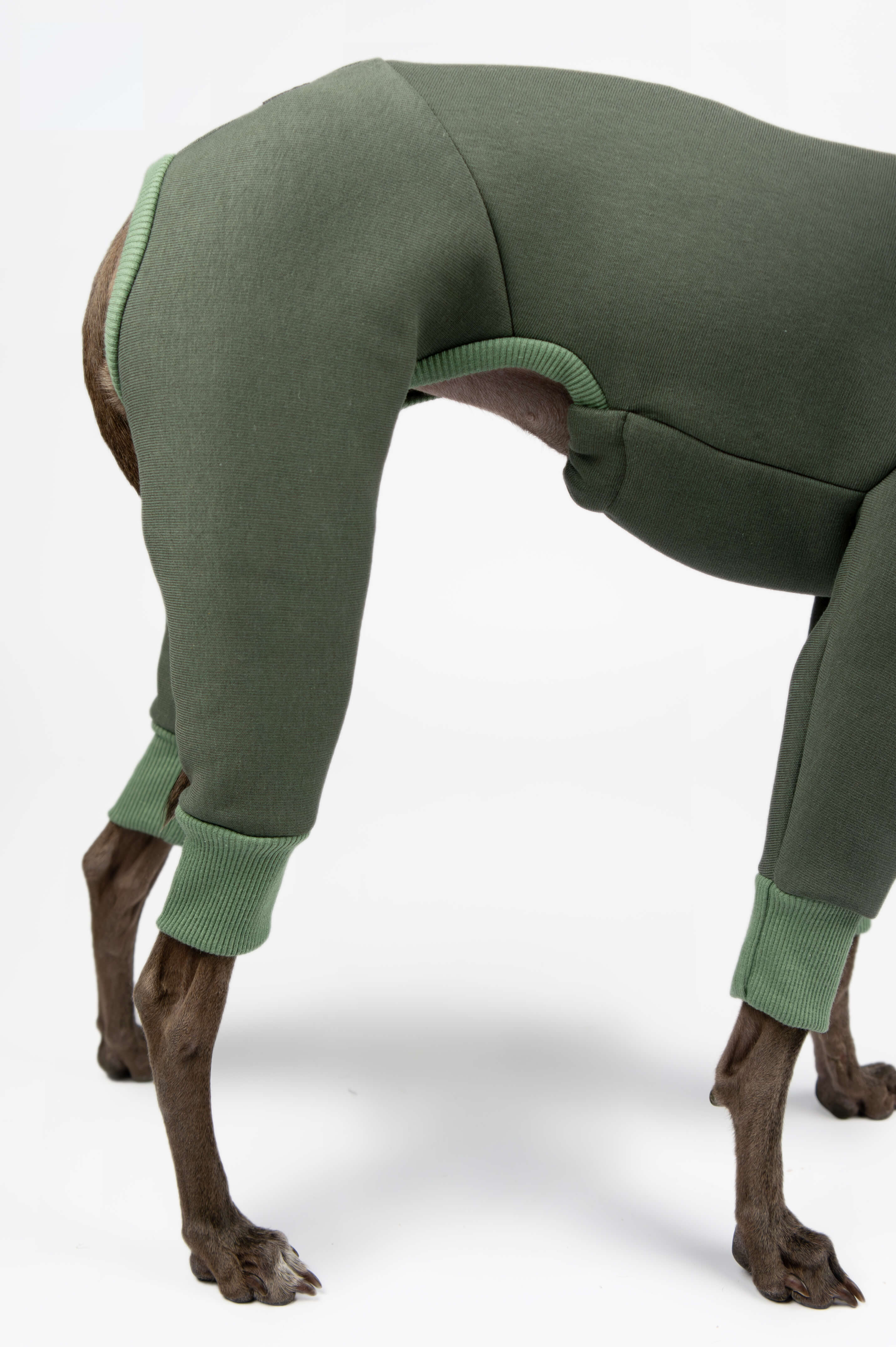 A close up photo of an Italian Greyhound and Whippet onesie by Strela Studio on a white background