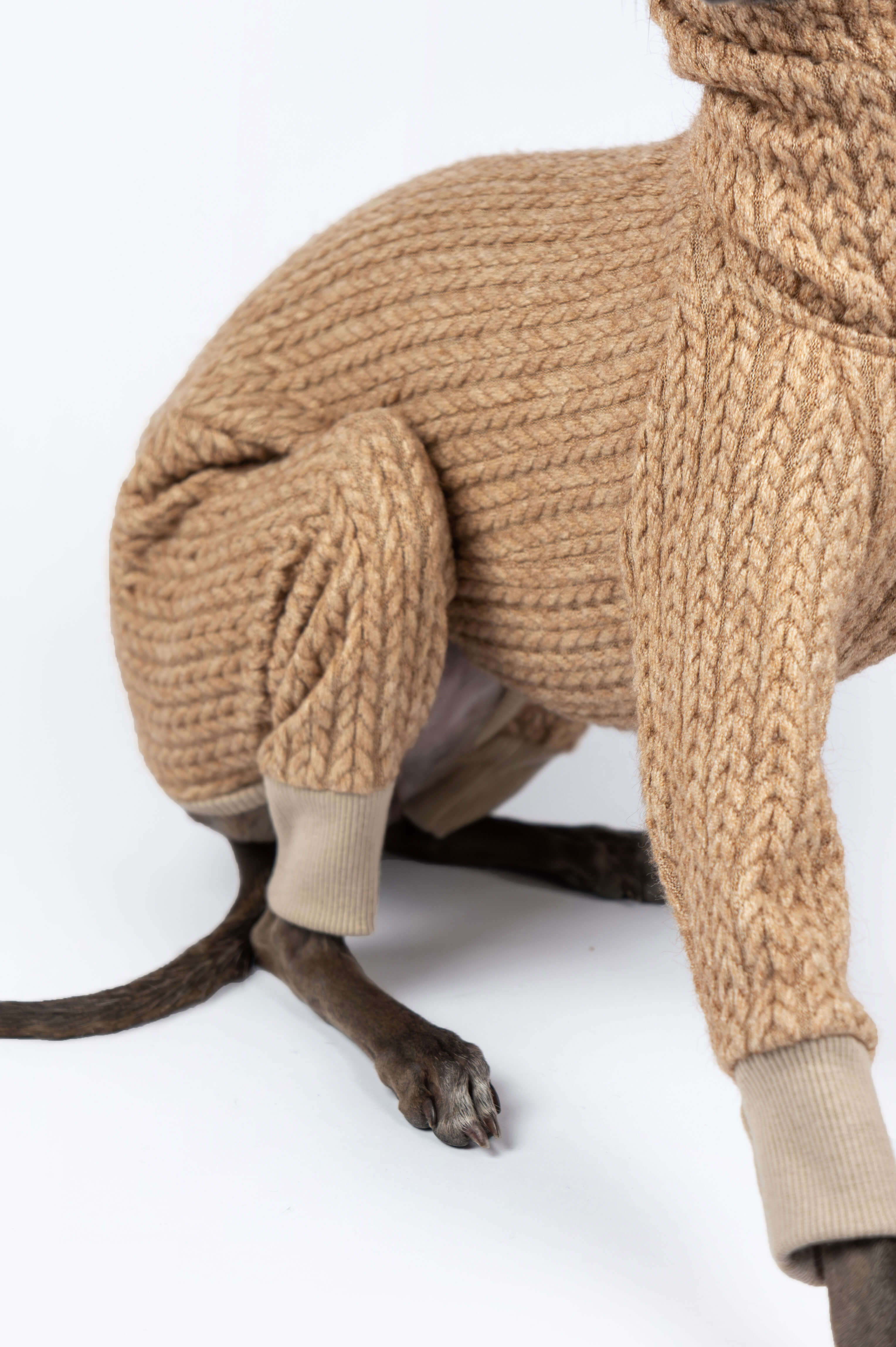 A close up fabric shot of an Italian Greyhound wearing a beige knitted sweater by Strela Studio