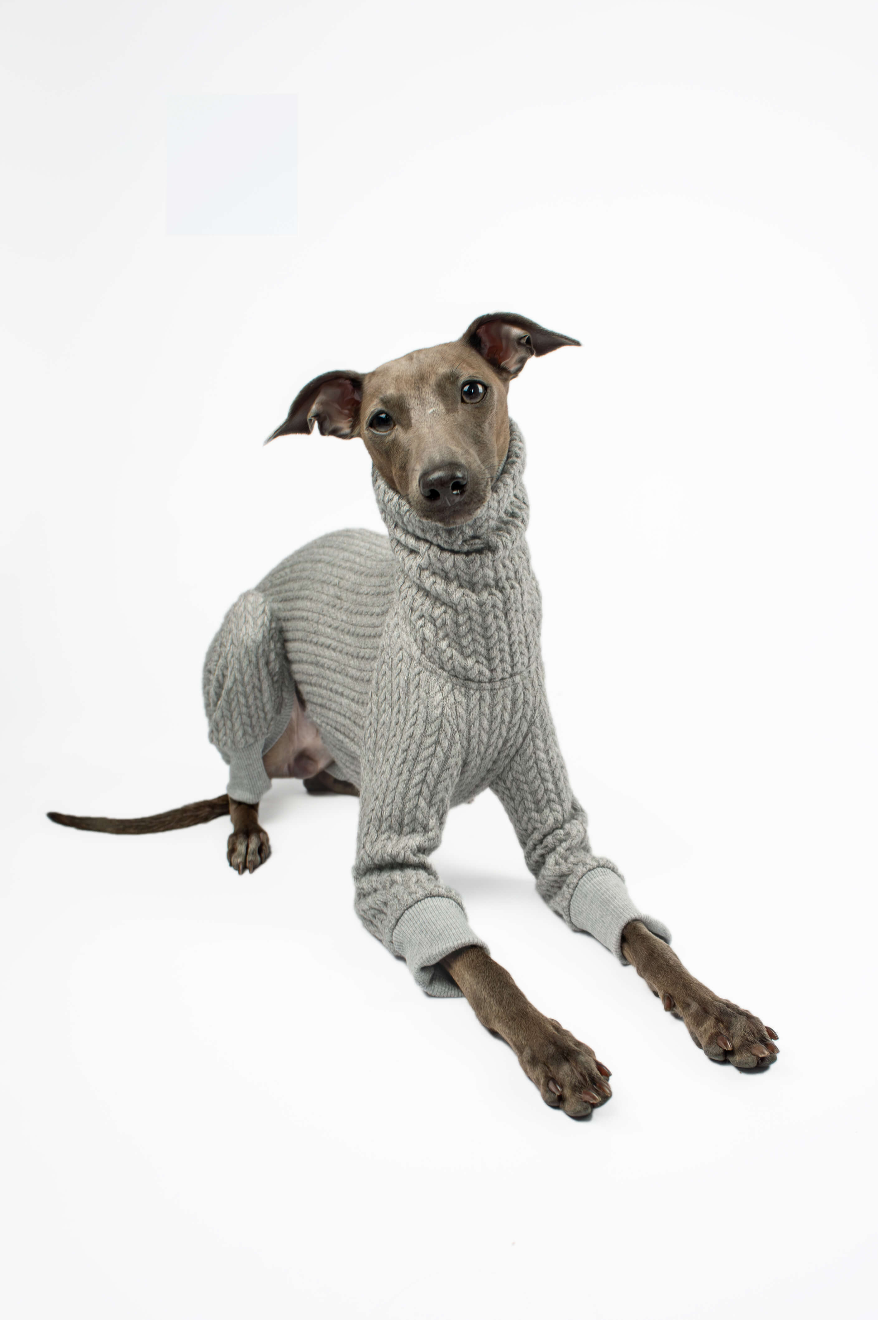 Italian Greyhound wearing a grey knitted sweater by Strela Studio laying down