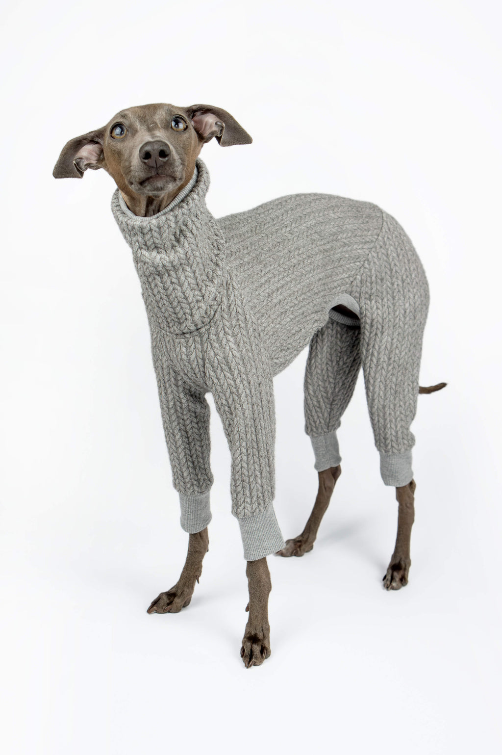 Italian Greyhound in a stand up pose wearing a grey knitted onesie by Strela Studio