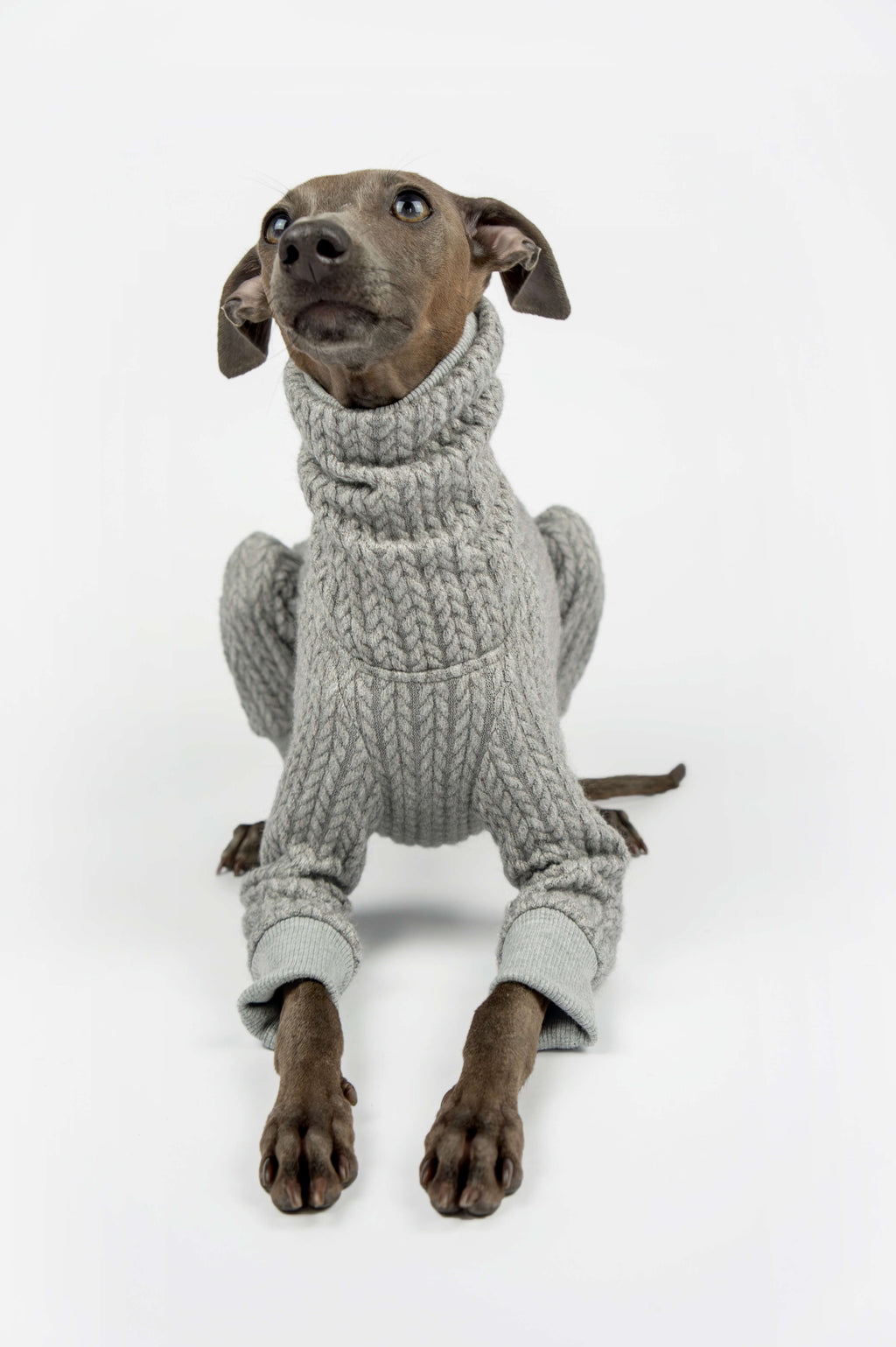 Italian Greyhound wearing a grey knitted onesie by Strela Studio on a white background