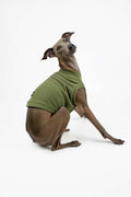 Italian Greyhound wearing a green waffle jersey t-shirt by Strela Studio on a white background