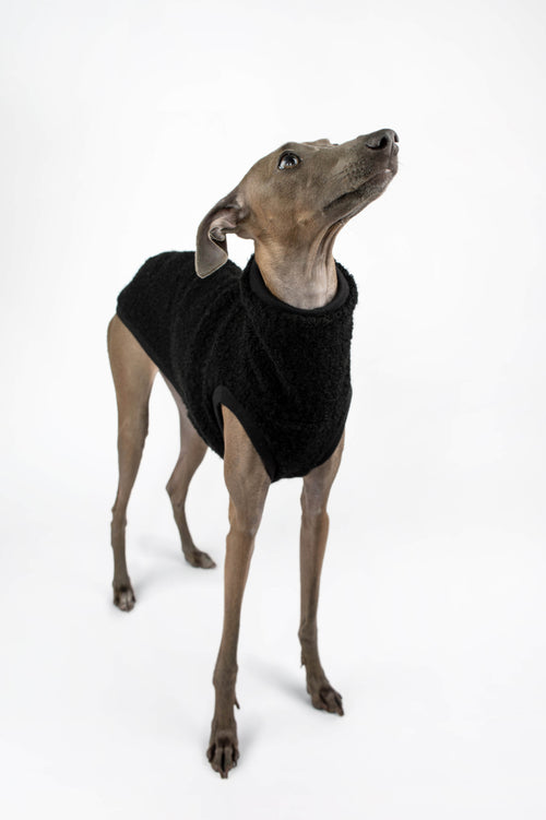 Italian Greyhound in textured black boucle vest by Strela Studio