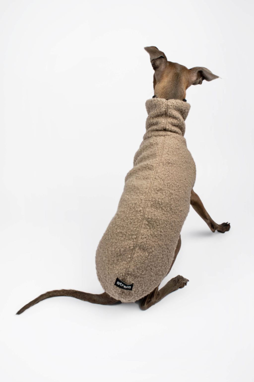 A back shot of an Italian Greyhound wearing a beige boucle vest by Strela Studio on a white background