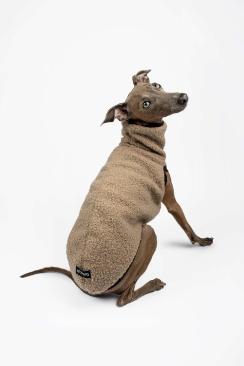 Italian Greyhound showing the back of a beige boucle vest by Strela Studio on a white background
