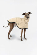 Italian Greyhound wearing a beige raincoat by Strela Studio on a white background