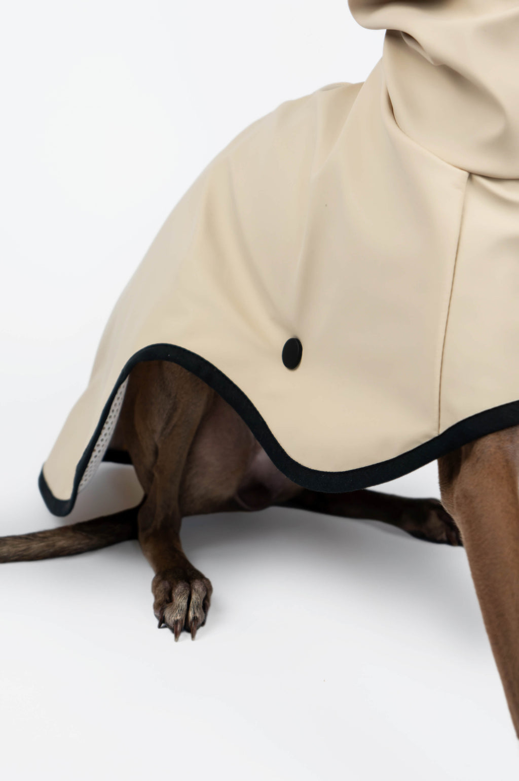 A side detail photo of an Italian Greyhound wearing a beige waterproof raincoat by Strela Studio on a white background