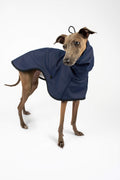 Italian Greyhound wearing a navy blue raincoat by Strela Studio on a white background