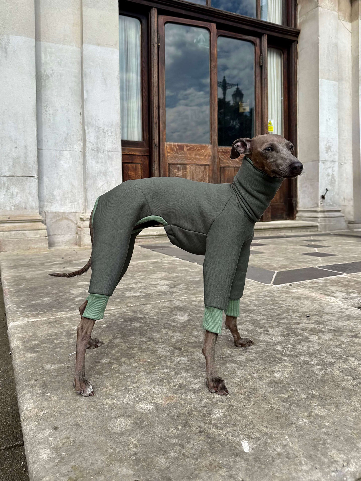 Lola the Italian Greyhoundg wearing a full-body green dog suit by Strela Studio stands on a stone pavement in front of a building with large wooden doors.